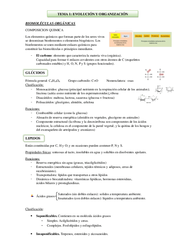 Miniatura del documento TEMA-1-BIOMOLECULAS-ORGANICAS.pdf