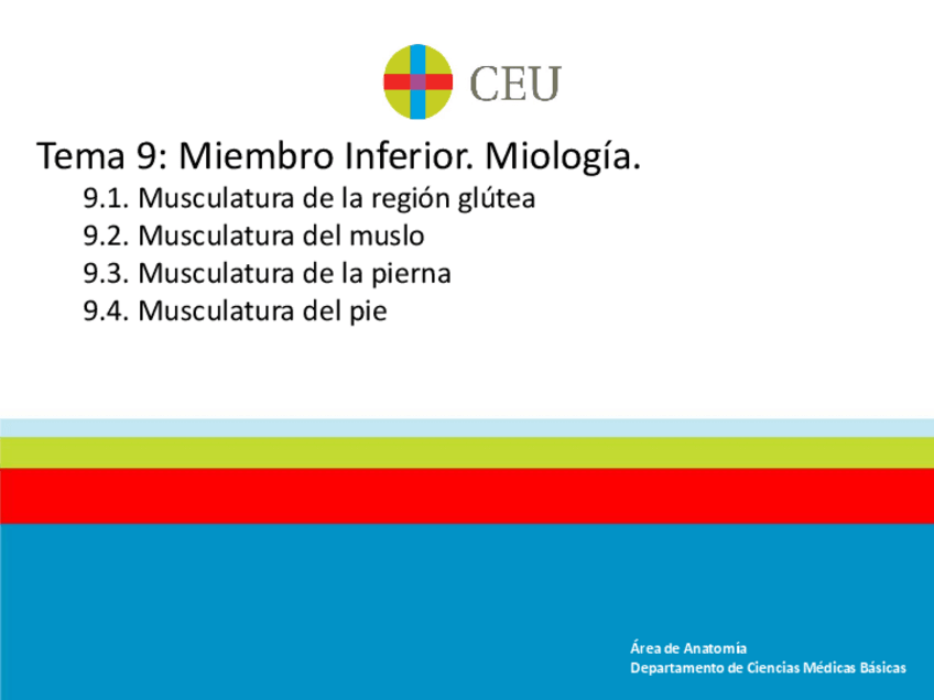 Miniatura del documento 9.-MMIIII-Miologia.pdf