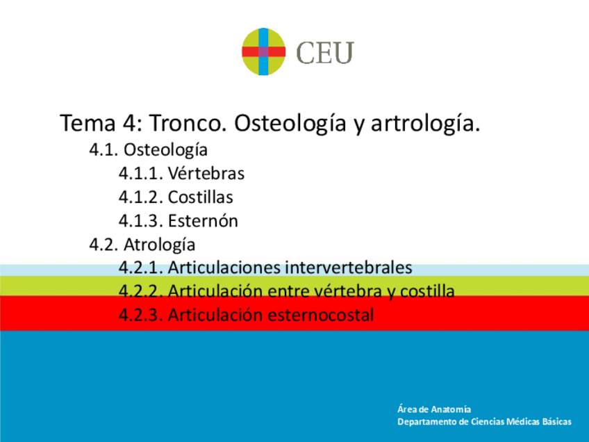 Miniatura del documento 4.-TroncoOsteologia-y-artrologia.pdf