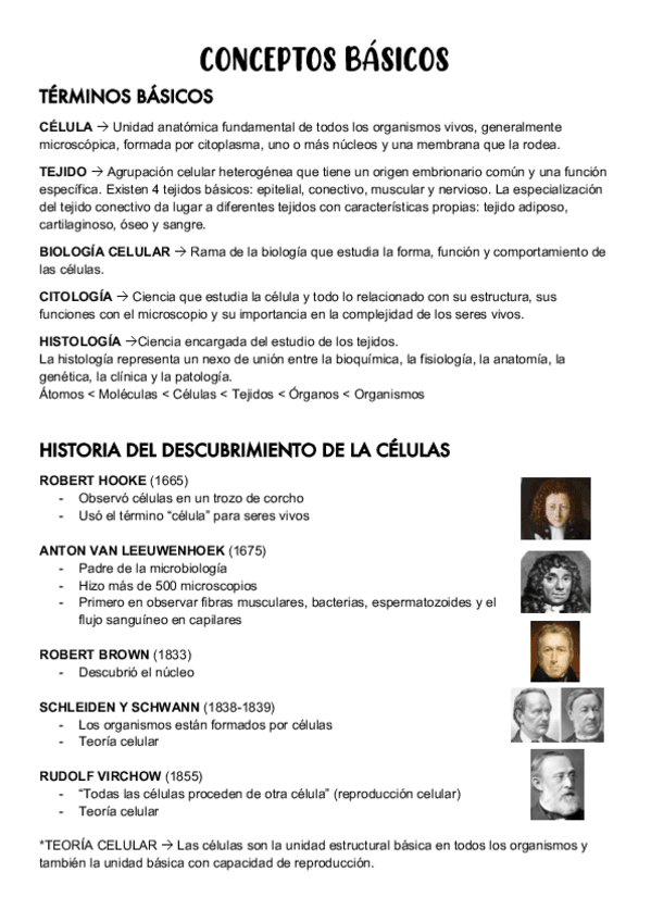 Miniatura del documento CONCEPTOS-BASICOS.pdf