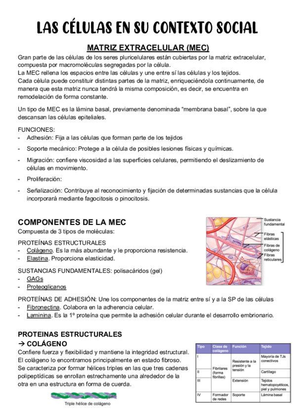 Miniatura del documento LAS-CELULAS-EN-SU-CONTEXTO-SOCIAL.pdf