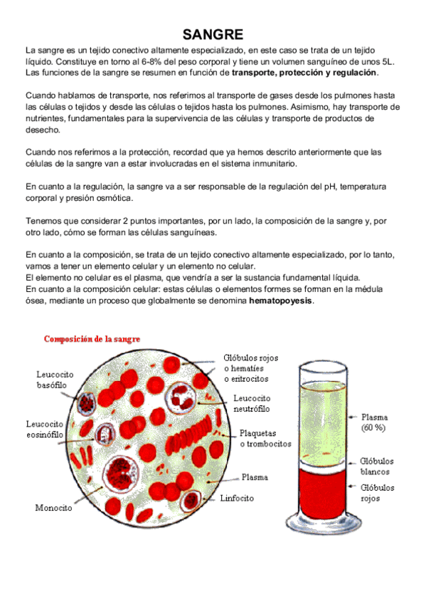 Miniatura del documento sangre.pdf