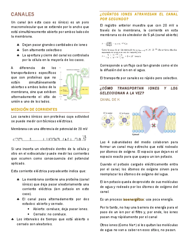 Miniatura del documento Canales-Fisiologia-celular.pdf