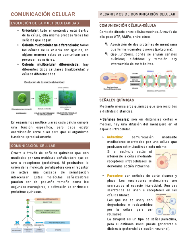 Miniatura del documento Comunicacion-celular-Fisiologia-general.pdf