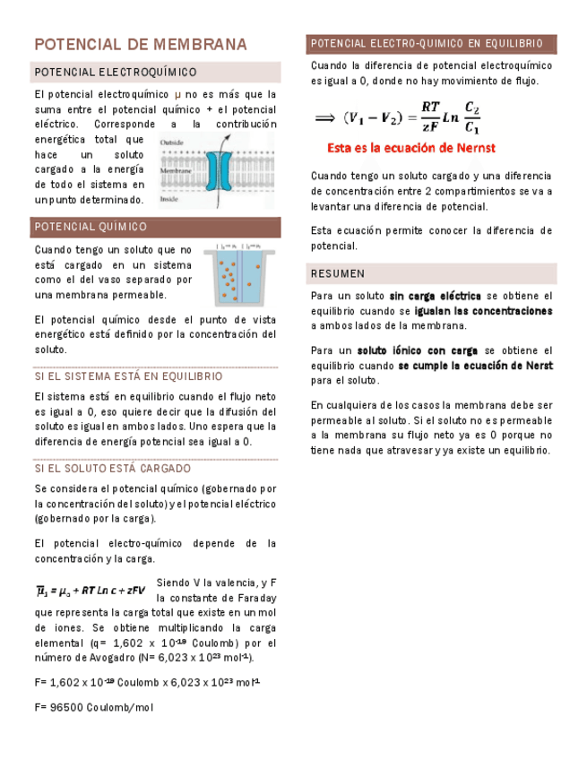 Miniatura del documento Potencial-de-membrana-Fisiologia-celular.pdf