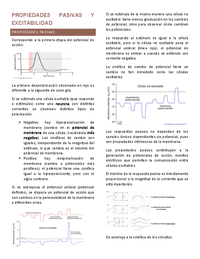 Miniatura del documento Propiedades-pasivas-y-excitabilidad-Fisiologia-celular.pdf