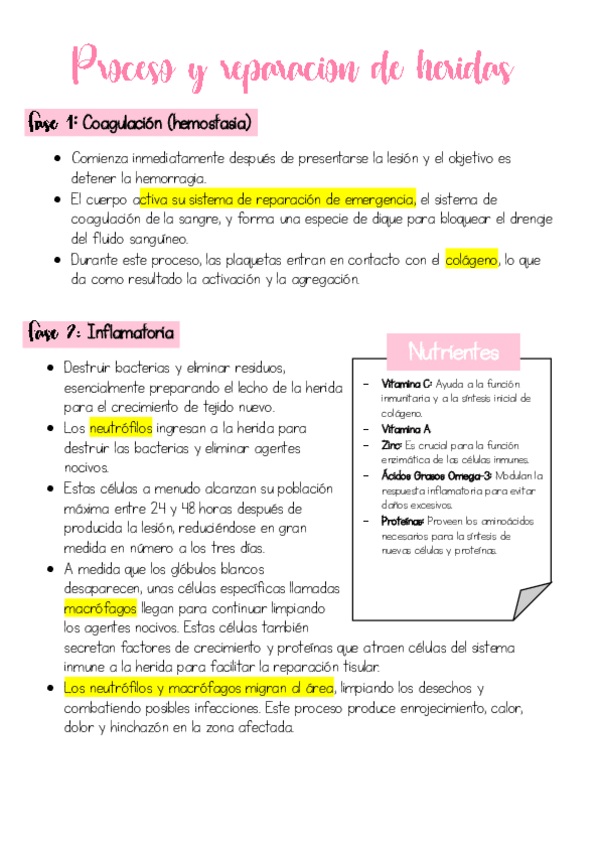 Miniatura del documento Proceso-y-reparacion-de-heridas.pdf
