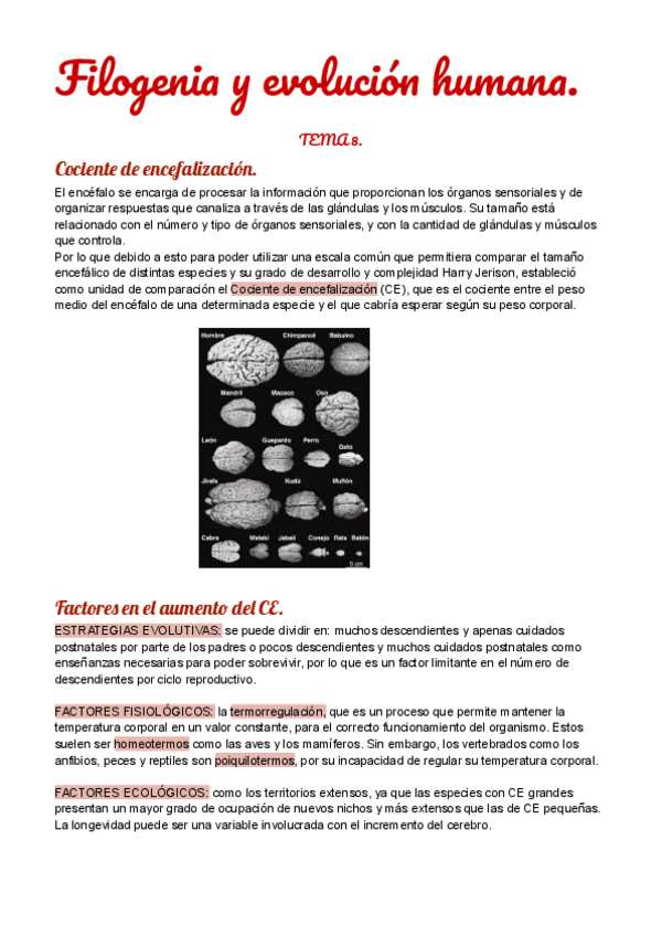 Miniatura del documento TEMA-8-2.pdf