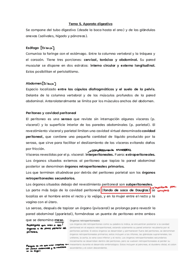 Miniatura del documento Tema-5.-Aparato-digestivo.pdf