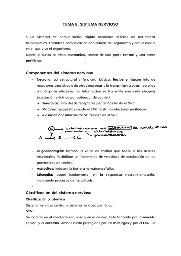 Miniatura del documento Tema-9.-Sistema-nervioso.pdf
