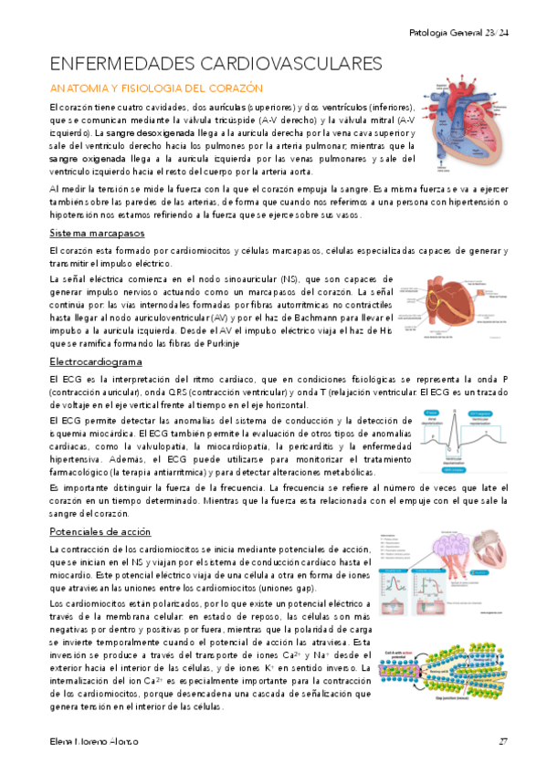 Miniatura del documento T4-ENFERMEDADES-CARDIOVASCULARES.pdf