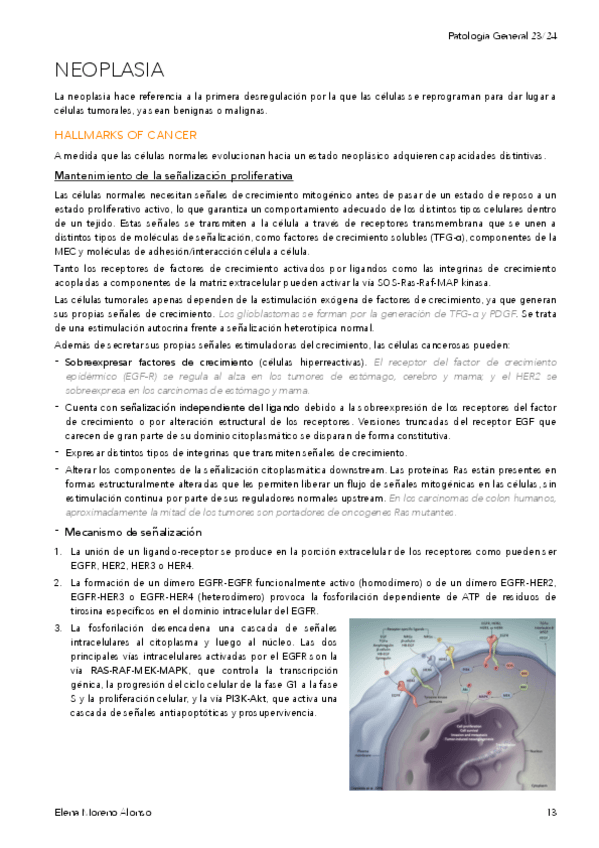 Miniatura del documento T3-NEOPLASIA.pdf