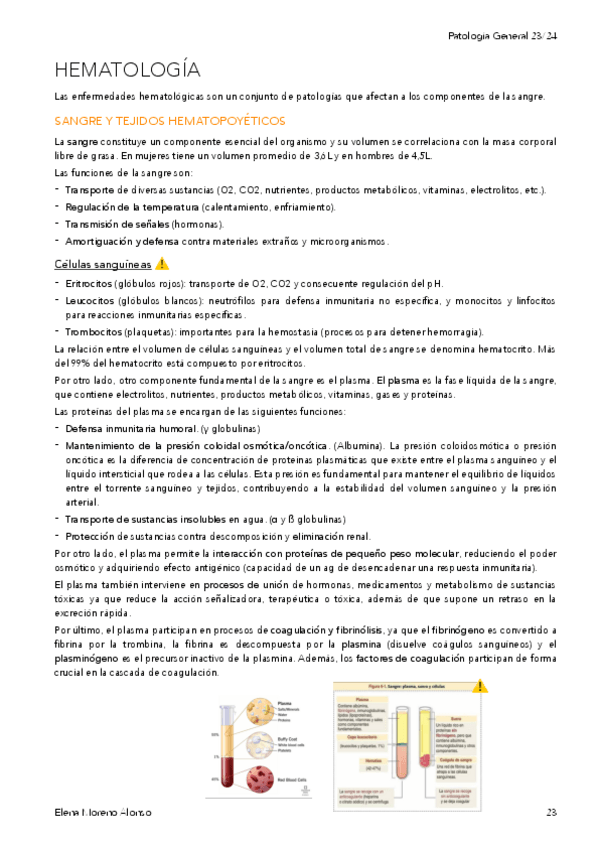 Miniatura del documento T16-HEMATOLOGIA.pdf
