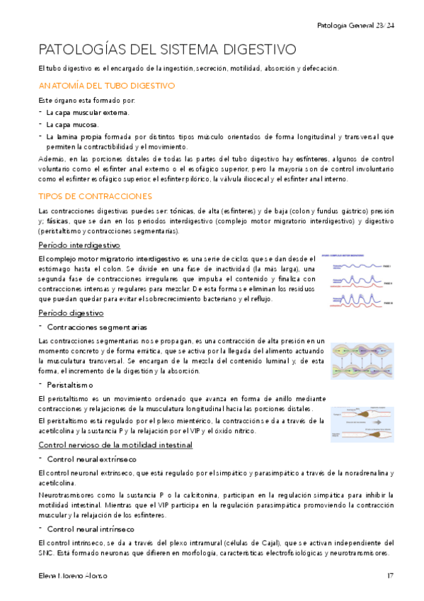 Miniatura del documento T15-PATOLOGIAS-DEL-SISTEMA-DIGESTIVO.pdf