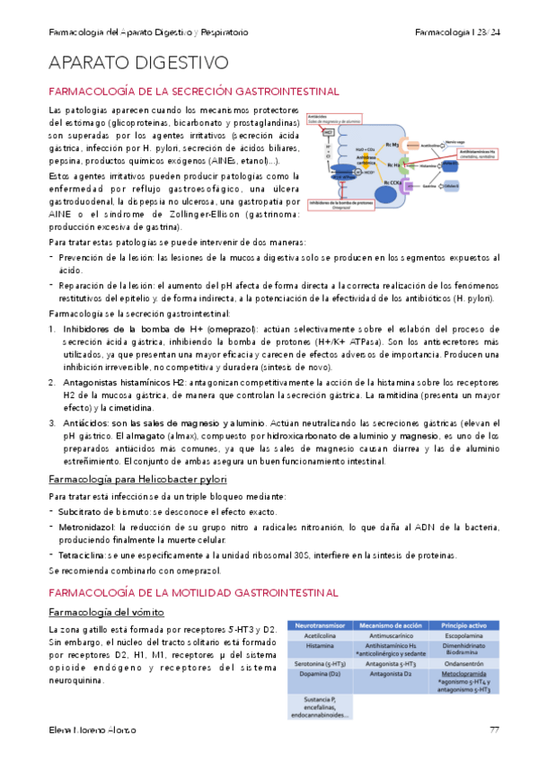 Miniatura del documento APARATO-DIGESTIVO.pdf