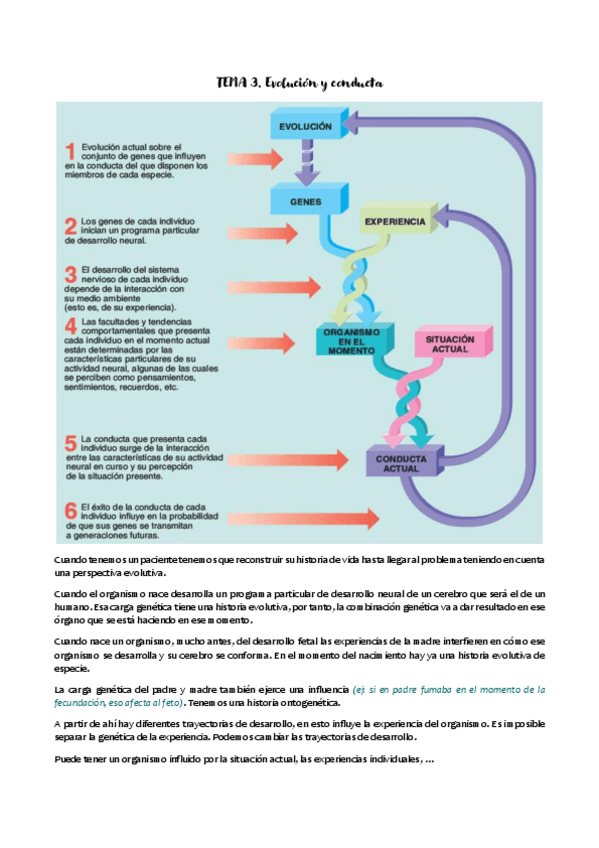 Miniatura del documento TEMA-3.pdf