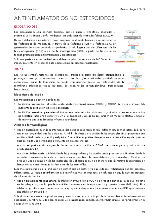 Miniatura del documento ANTIINFLAMATORIOS-NO-ESTEROIDEOS.pdf