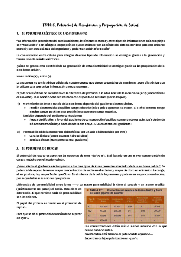 Miniatura del documento TEMA-6.pdf