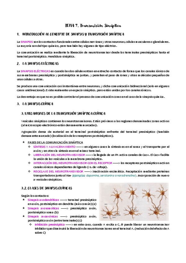 Miniatura del documento TEMA-7.pdf