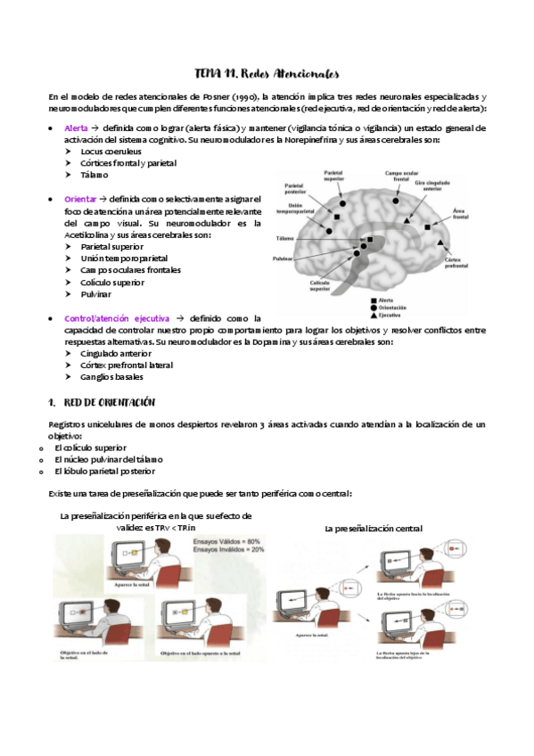 Miniatura del documento TEMA-11.pdf