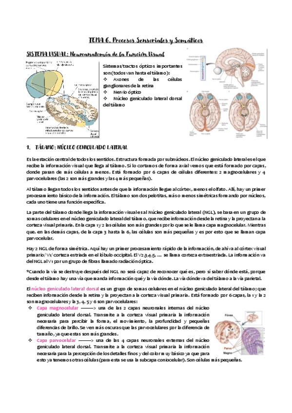 Miniatura del documento TEMA-6.pdf