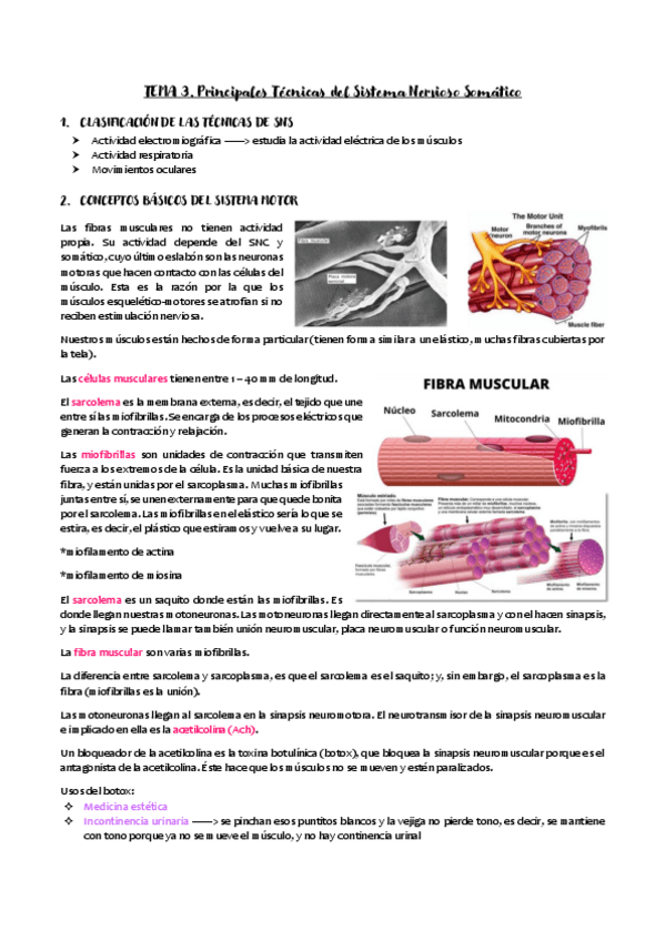 Miniatura del documento TEMA-3.pdf