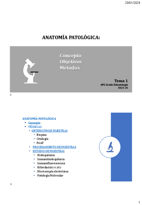 Miniatura del documento AP-diapositivas.pdf