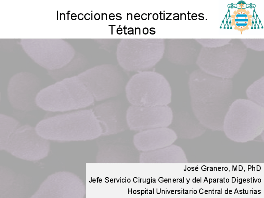 Miniatura del documento T13.-Inf-Necrotizantes.-Tetanos.pdf