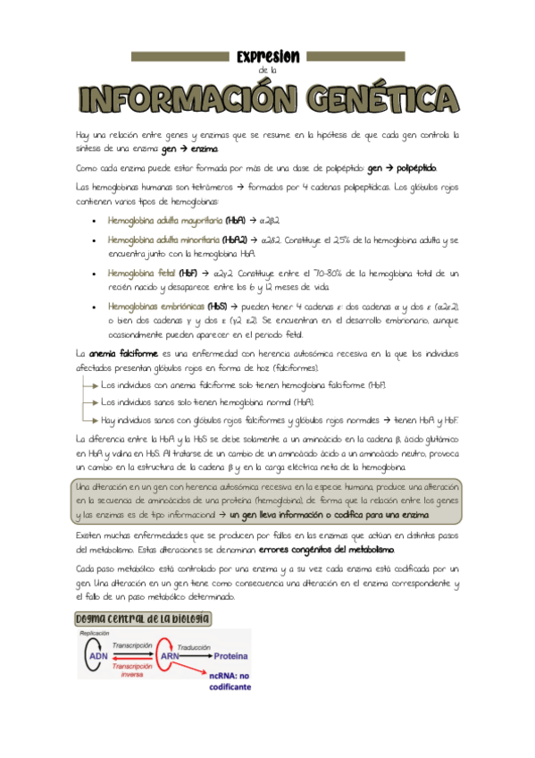 Miniatura del documento Tema-7.-Expresion-de-la-informacion-genica.pdf