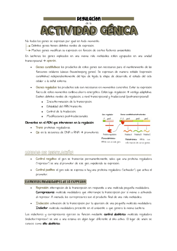 Miniatura del documento Tema-8.-Regulacion-de-a-actividad-genica.pdf