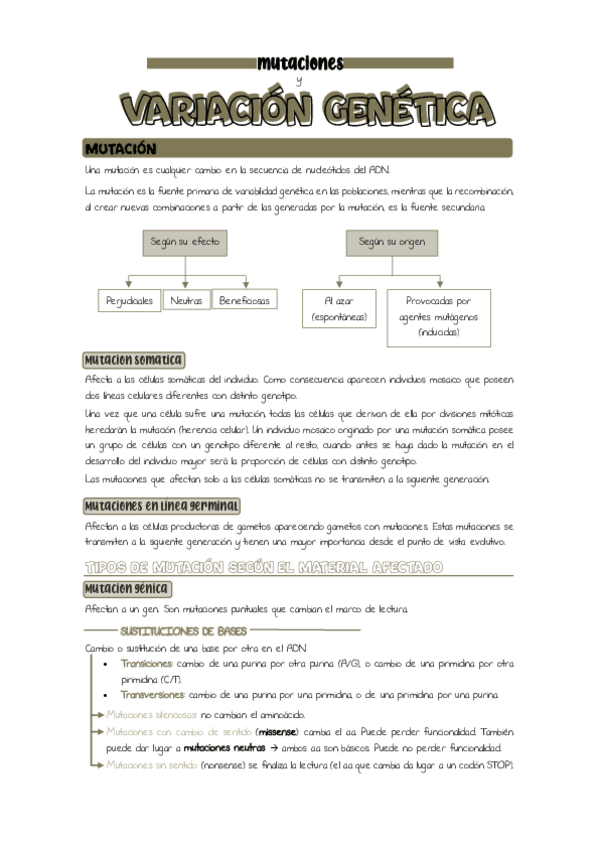 Miniatura del documento Tema-9.-Mutaciones-y-variacion-genetica.pdf
