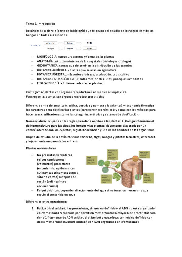 Miniatura del documento temas-1-7-botanica.pdf
