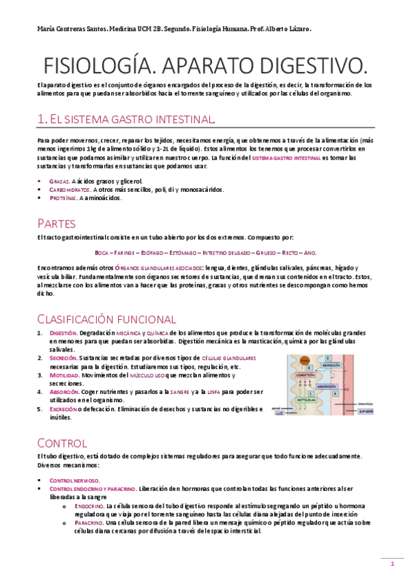 Miniatura del documento Fisio Digestivo.pdf