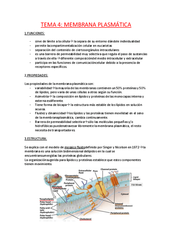 Miniatura del documento TEMARIO ENTERO.pdf