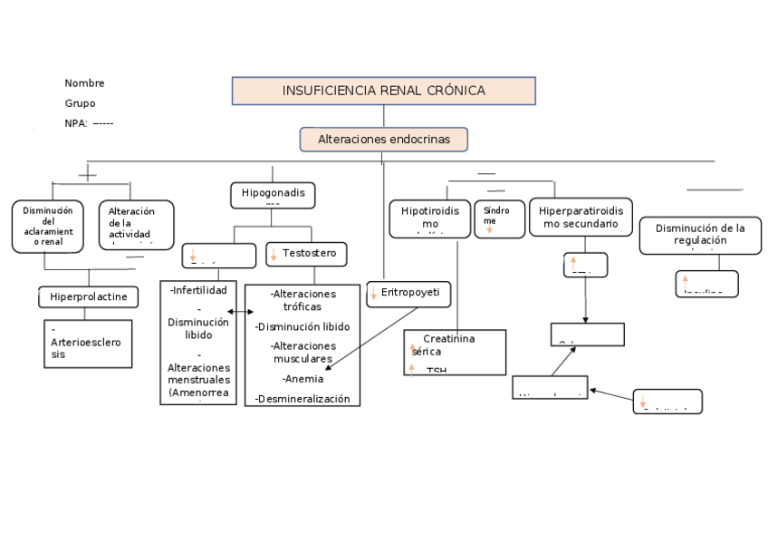 Miniatura del documento Actividad-fisiopatologia-insuficiencia-renal-cronica.docx