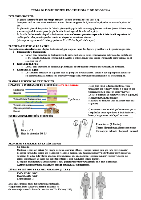 Miniatura del documento TEMA-5-CIRUGIA-INCISIONES.pdf