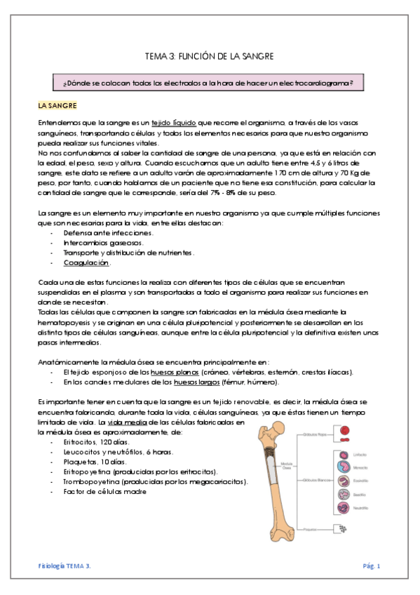 Miniatura del documento TEMA-3-FUNCION-DE-LA-SANGRE.pdf