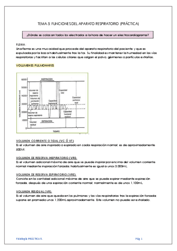 Miniatura del documento TEMA-5-FUNCIONES-DEL-APARATO-RESPIRATORIO-PRACTICA.pdf