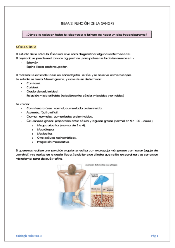Miniatura del documento TEMA-3-FUNCION-DE-LA-SANGRE.pdf