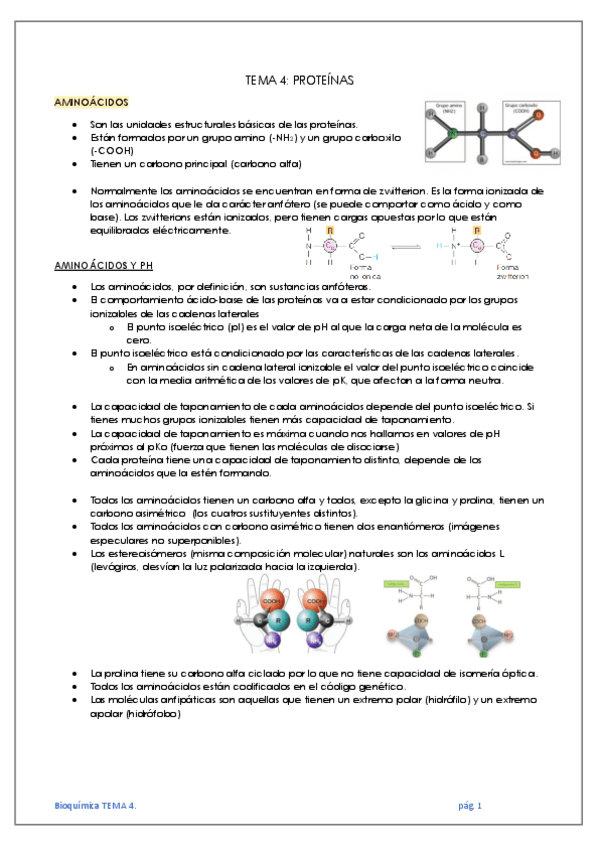 Miniatura del documento TEMA-4-PROTEINAS.pdf