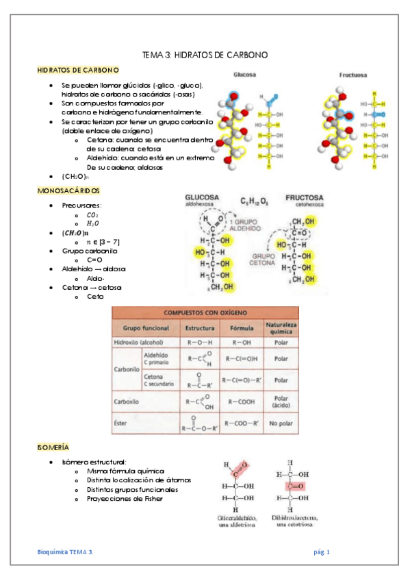 Miniatura del documento TEMA-3-HIDRATOS-DE-CARBONO.pdf