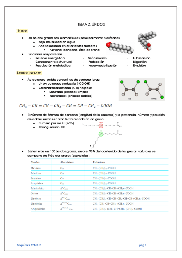 Miniatura del documento TEMA-2-LIPIDOS.pdf