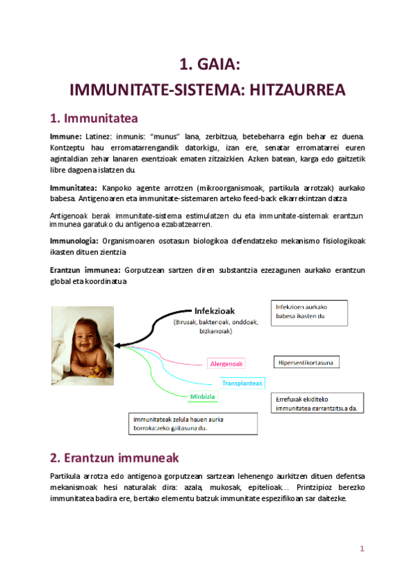 Miniatura del documento 1.-GAIA.pdf