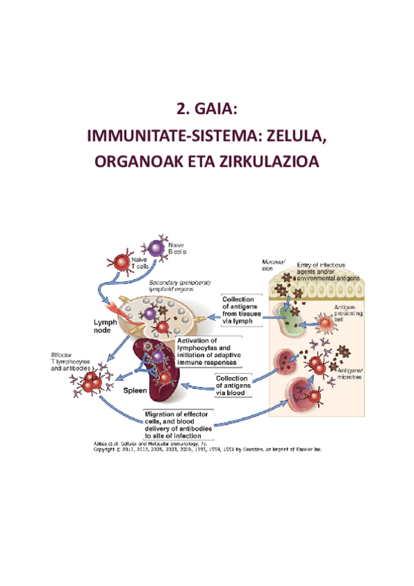 Miniatura del documento 2.-GAIA.pdf