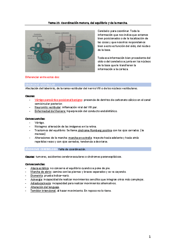 Miniatura del documento Tema-23.-Coordinacion-motora-del-equilibrio-y-de-la-marcha..pdf