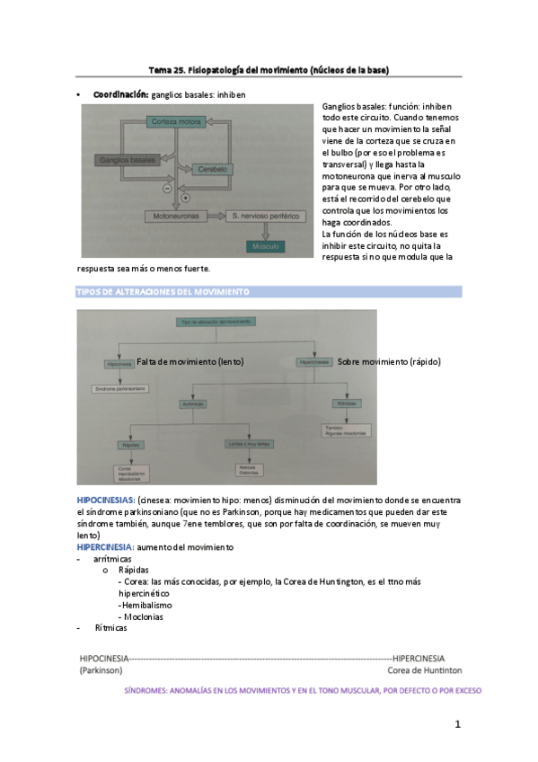 Miniatura del documento Tema-25.-Fisiopatologia-del-movimiento-nucleos-de-la-base.pdf
