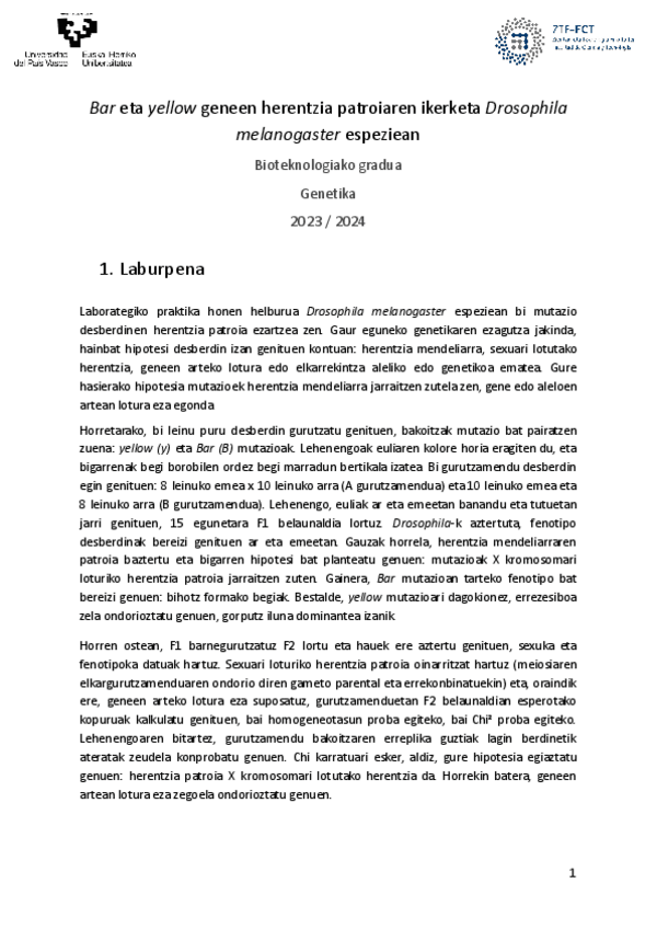 Miniatura del documento PRAKTIKA-ARTIKULUA.pdf