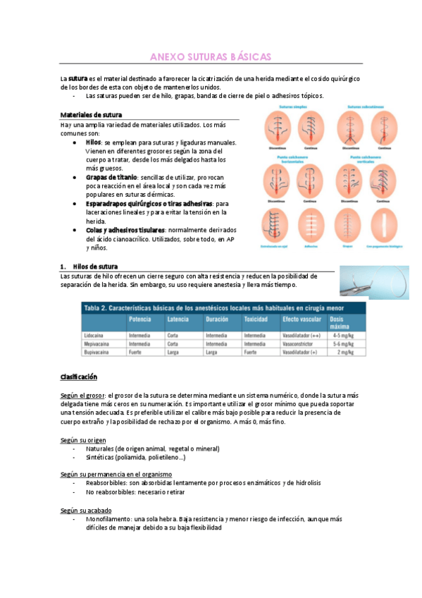 Miniatura del documento ANEXO-SUTURAS-BASICAS.pdf