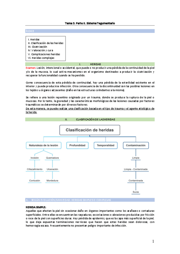 Miniatura del documento Tema-3.-Parte-II.-Sistema-Tegumentario.pdf