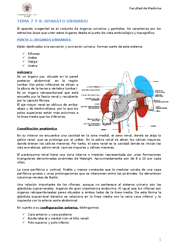 Miniatura del documento Tema 7 y 8.docx